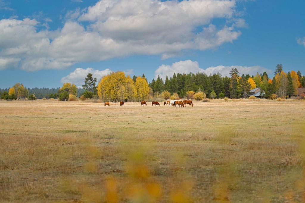 Coyote - Unit 15 Βίλα Sunriver Εξωτερικό φωτογραφία